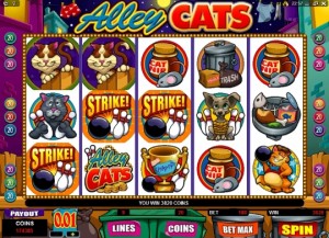 Alley Cats Video Slot Review